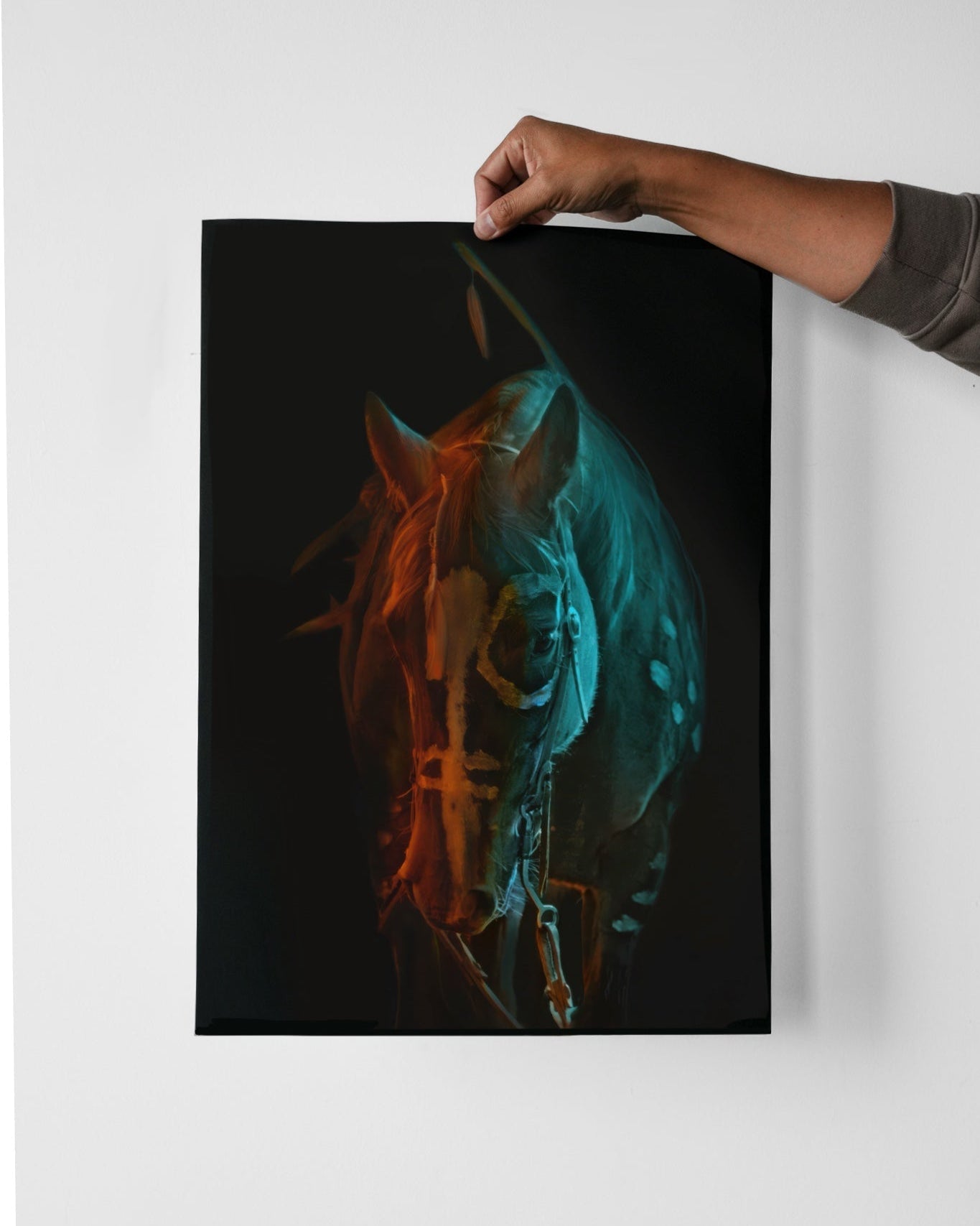 POSTERS