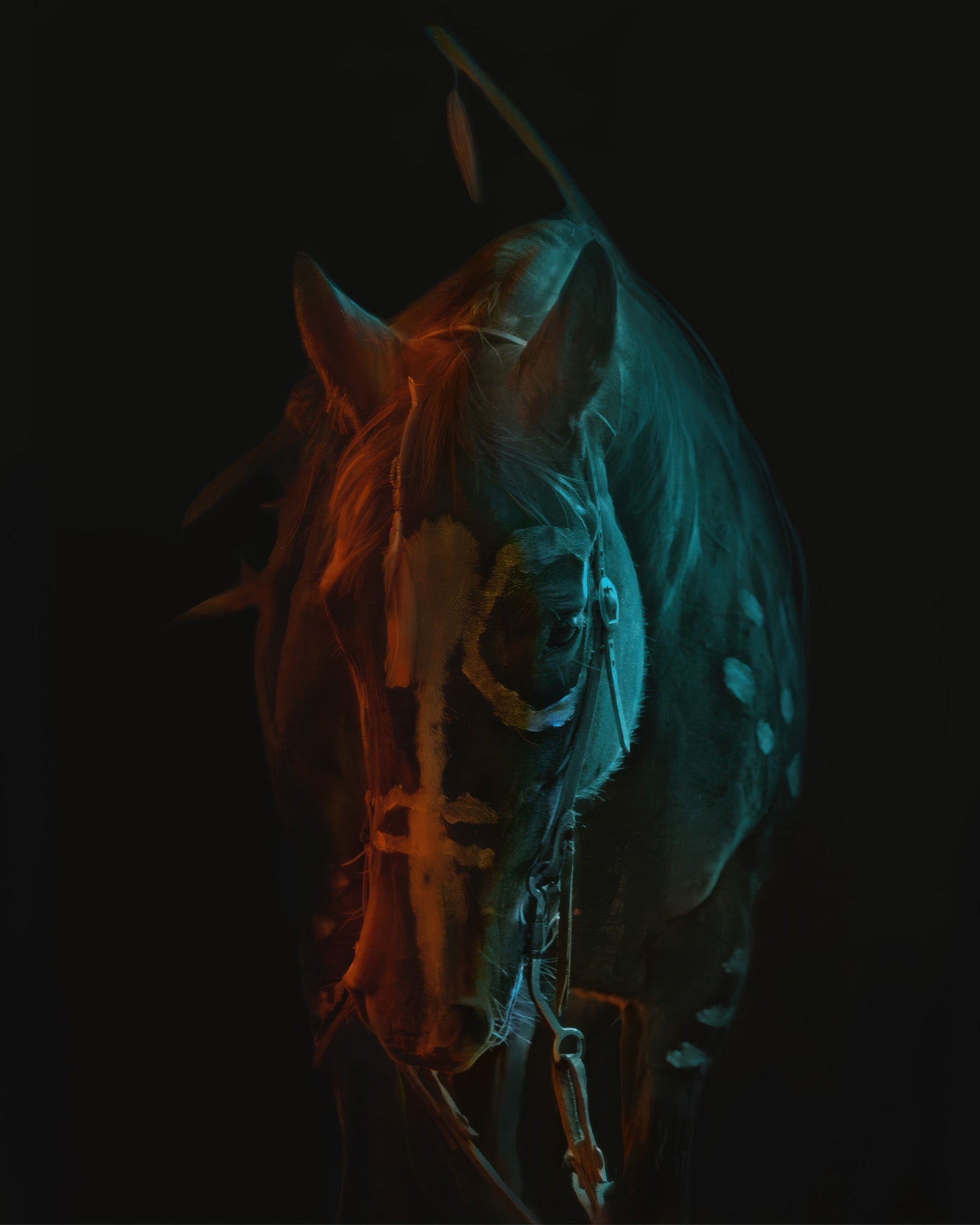 Neon War Pony - Poster