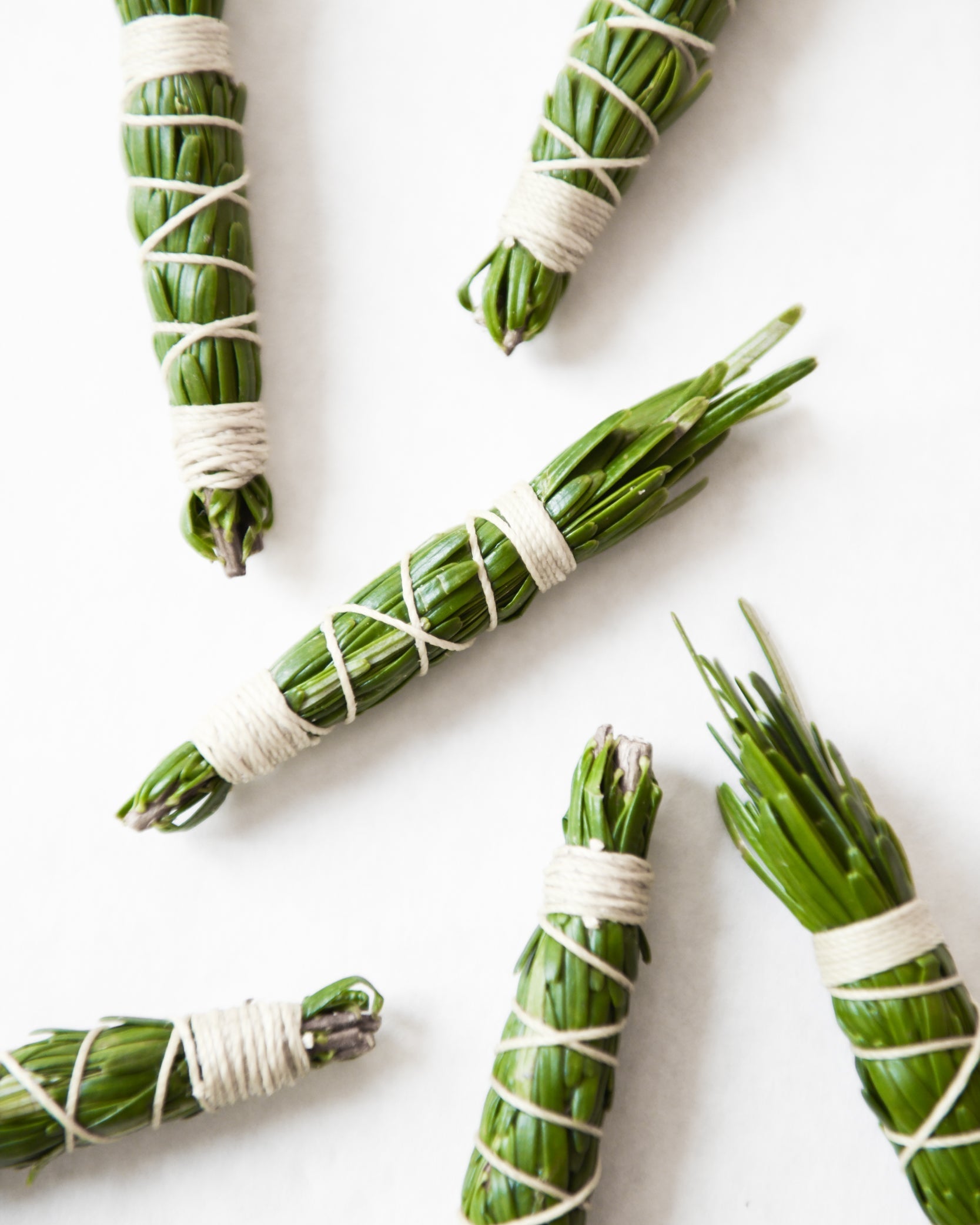Pine Element