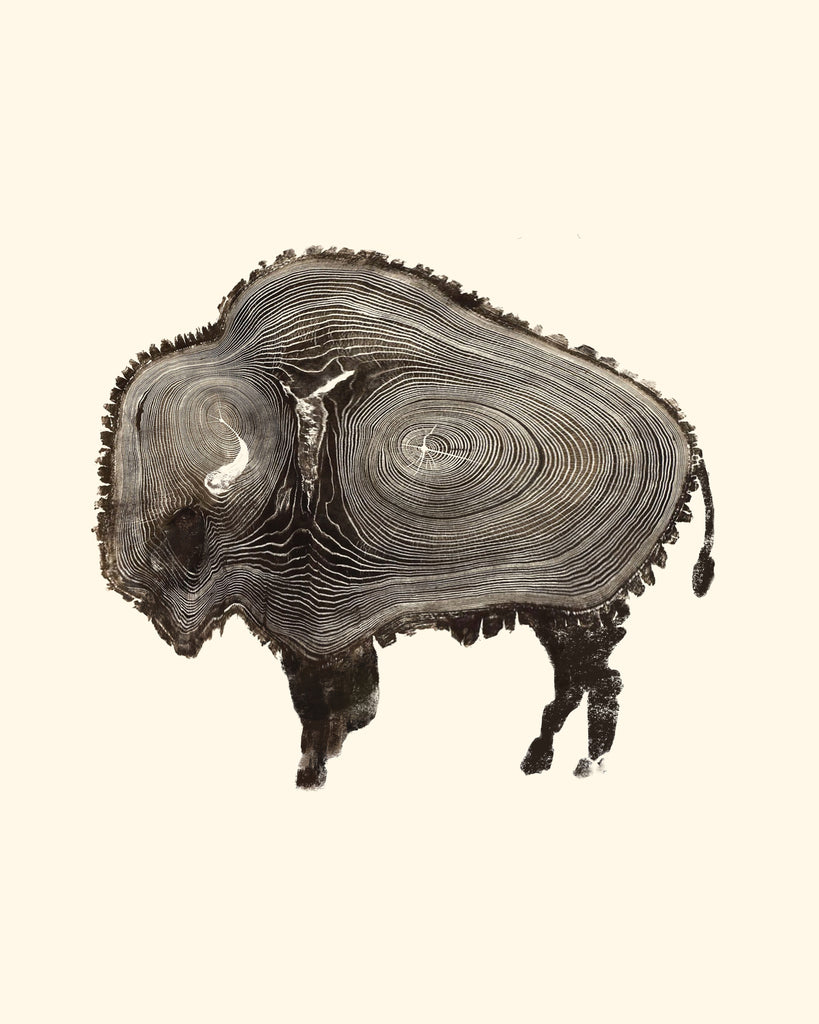 Buffalo Tree Rings - Collector's Series