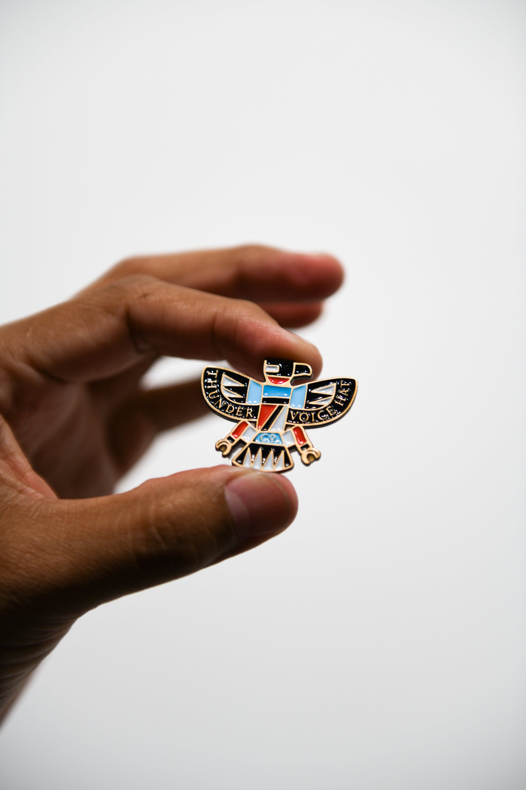 Thunderbird Pin