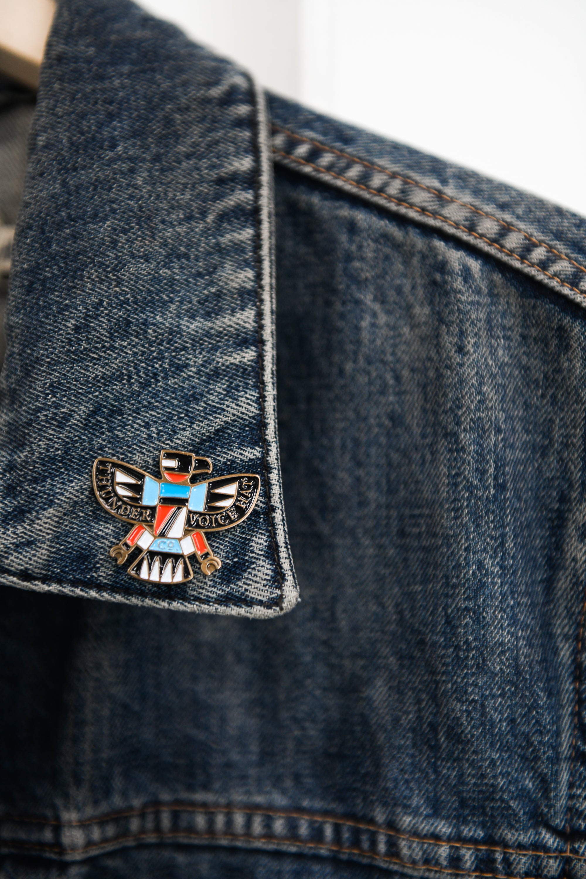 Thunderbird Pin