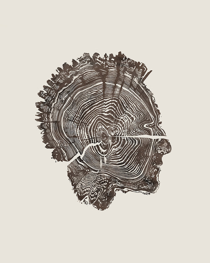 Warrior in Tree Rings